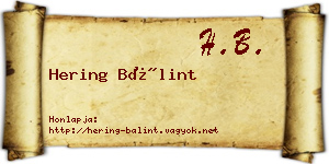 Hering Bálint névjegykártya